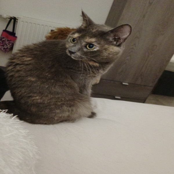 Mila