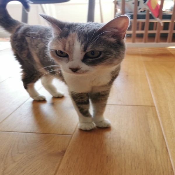 Photo de Lena
