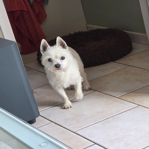 Photo de Crunchy