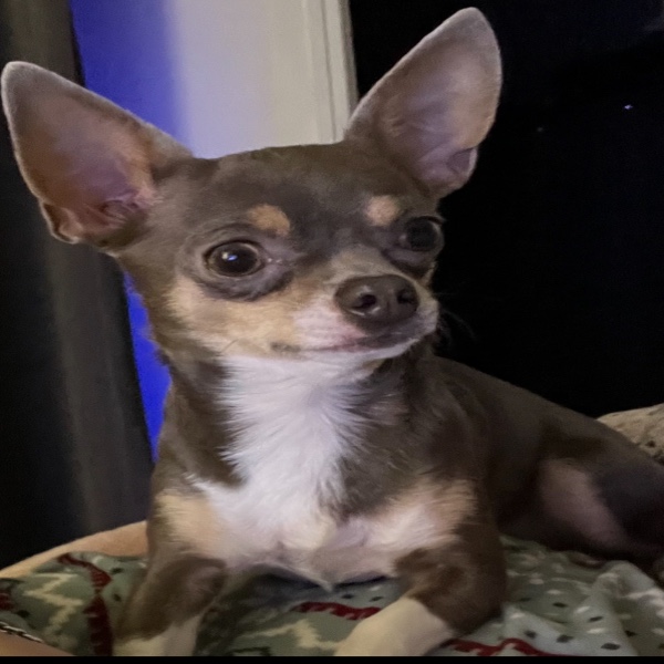 Photo de Jazz