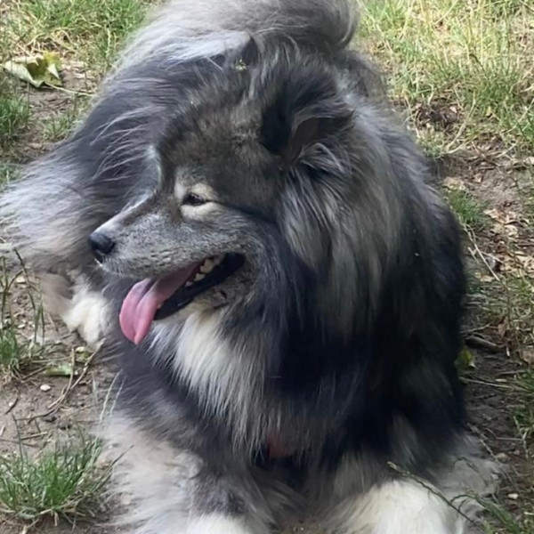 Photo de Kiara