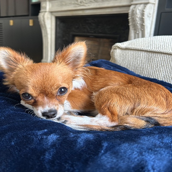 Photo de Marty McFly