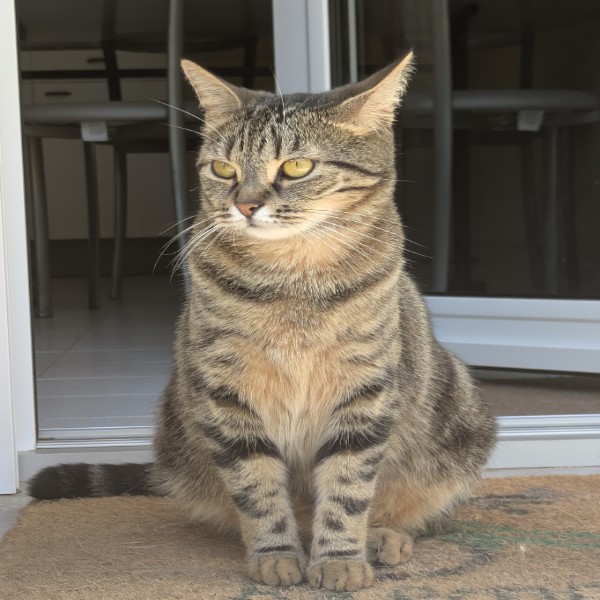 Photo de Peanut