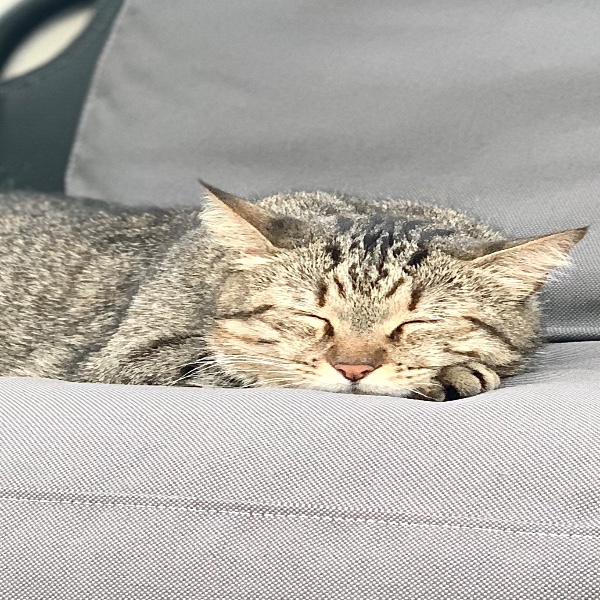 Berlioz