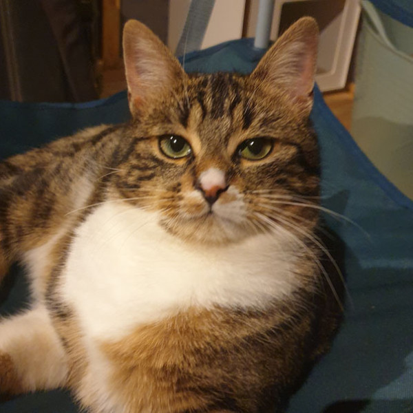 Sika