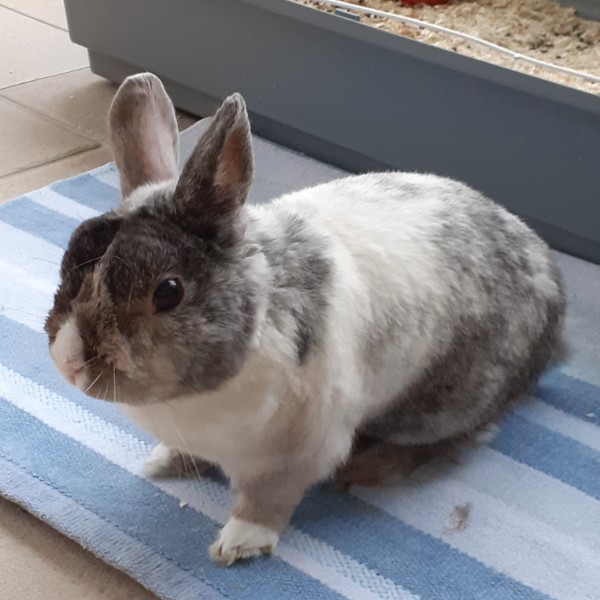 Photo de NANA