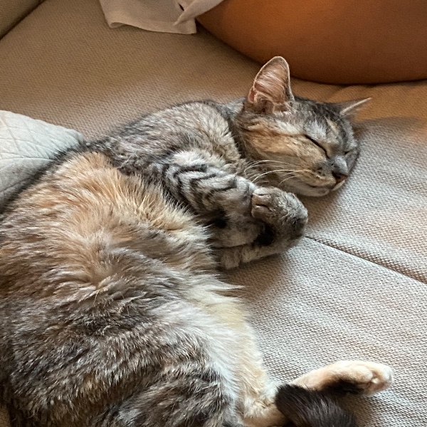 Photo de Micro