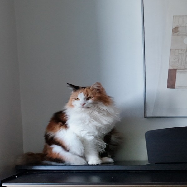 Photo de Lili