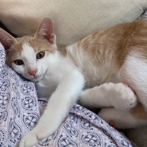 Photo de Mokka