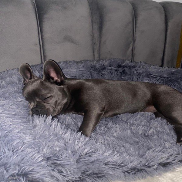 Photo de Lila