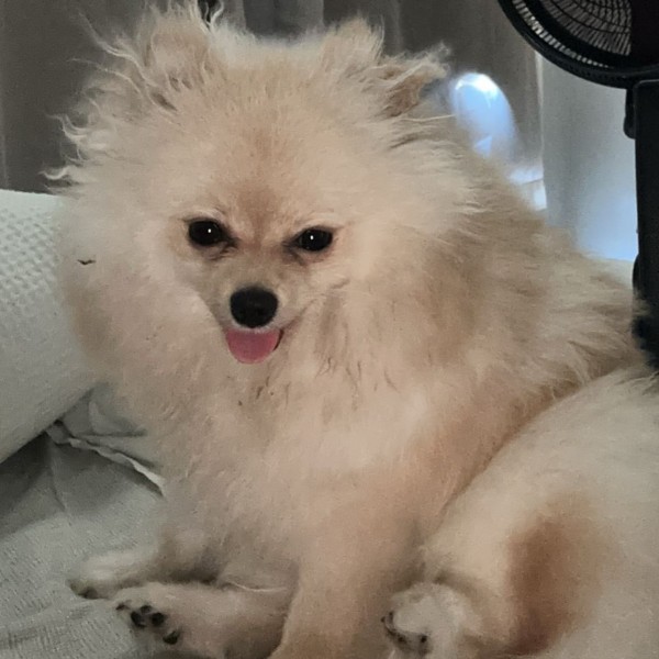 Photo de Zoé