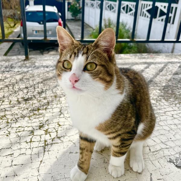 Photo de Cissou