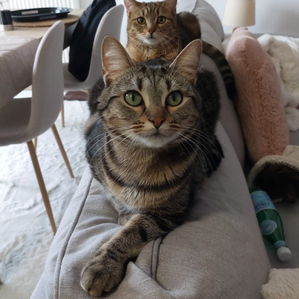 Photo de Sky