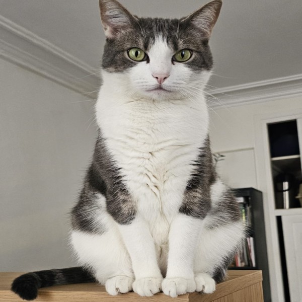 Léo