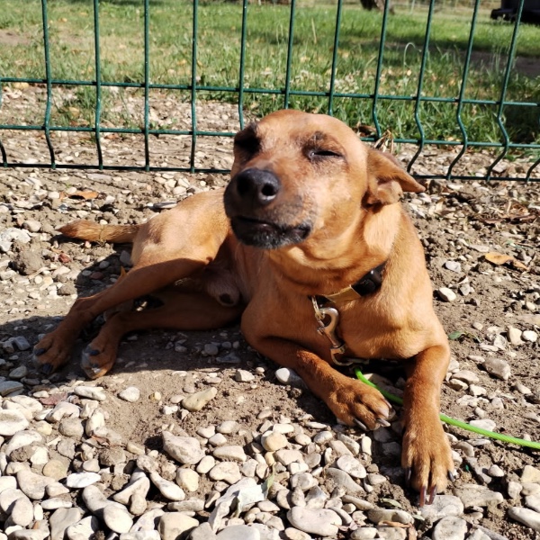 Photo de LUCKY