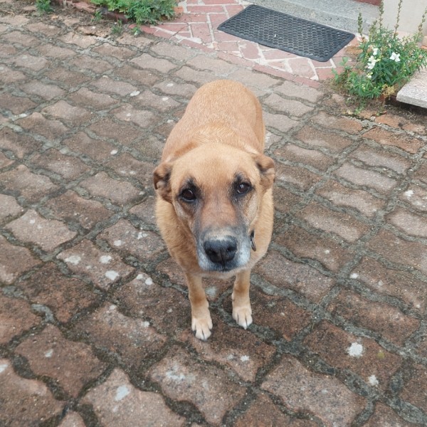 Photo de LINKA