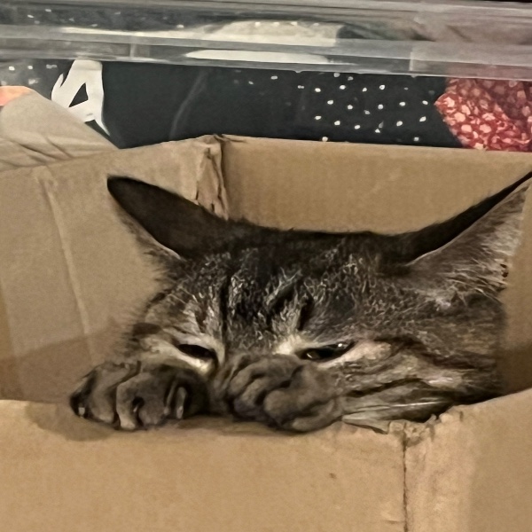 BARTOK