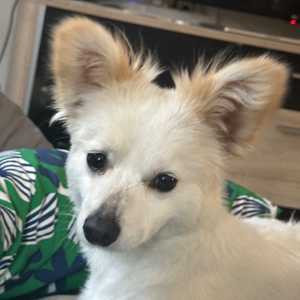 Photo de NALA