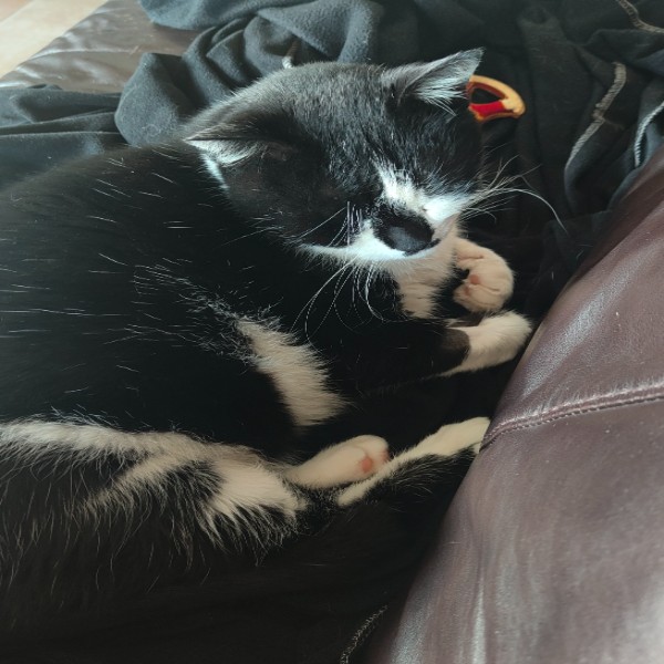 Photo de Praline