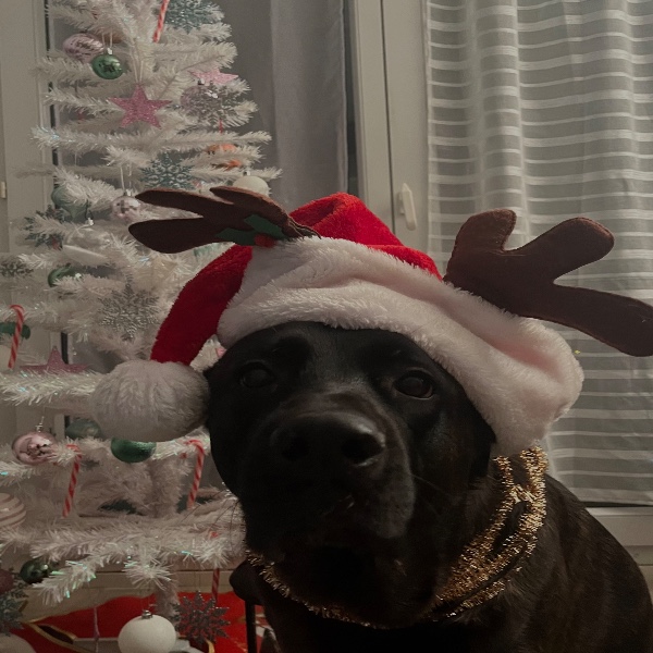 Nala