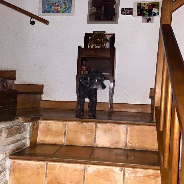 Photo de Box
