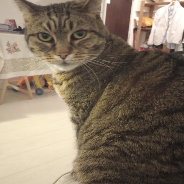 Photo de Natsou