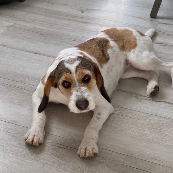 Photo de HAVANA