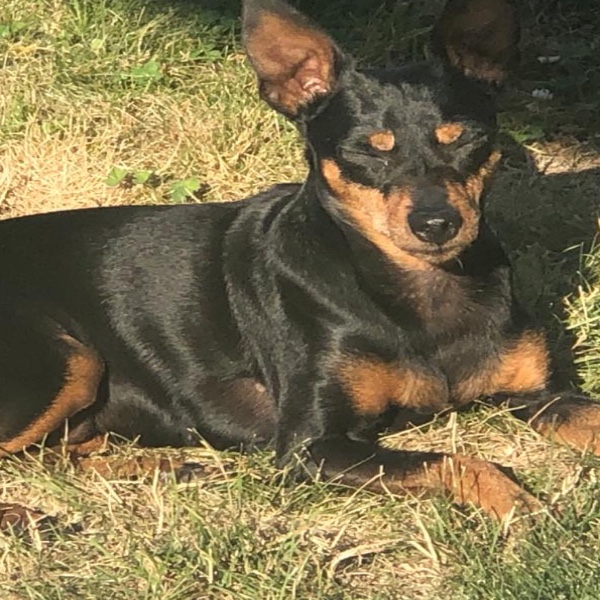 Photo de AIRBUS dit BUBUS