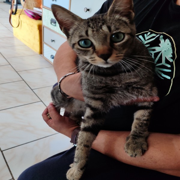 Photo de Blue