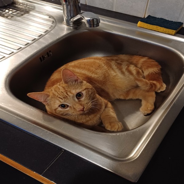 Photo de Été