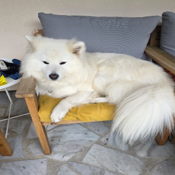 Lufy