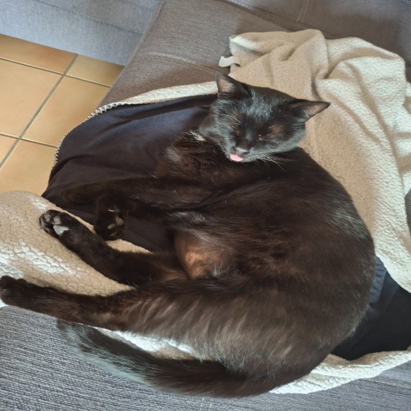 Photo de Maxou