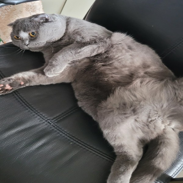Photo de MITZI