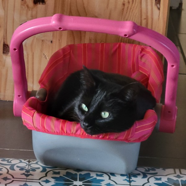 Photo de Poé