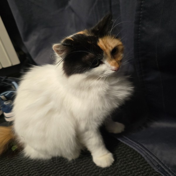 Photo de Lilith