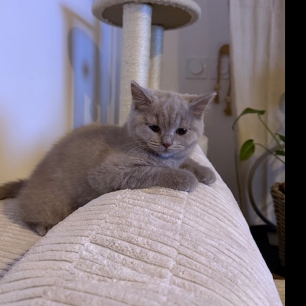 Photo de Ayra