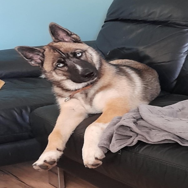 Photo de Blue