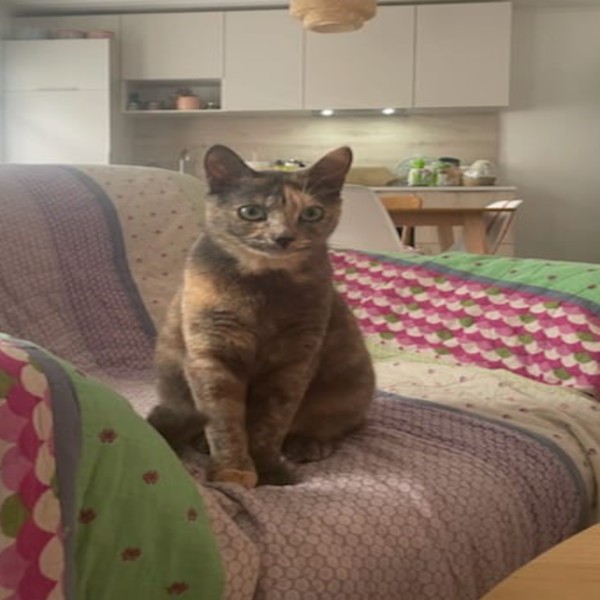 Photo de Ruby