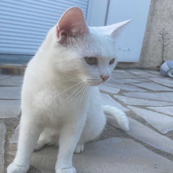 Photo de Candy