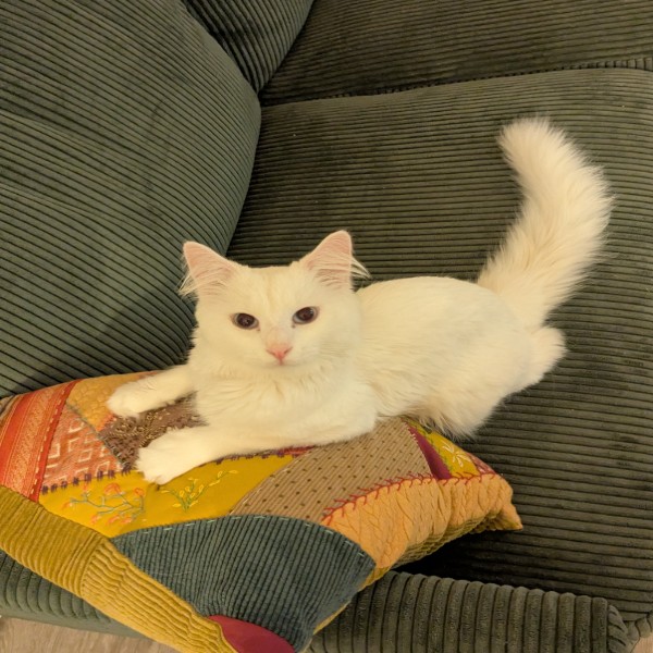 Hubert