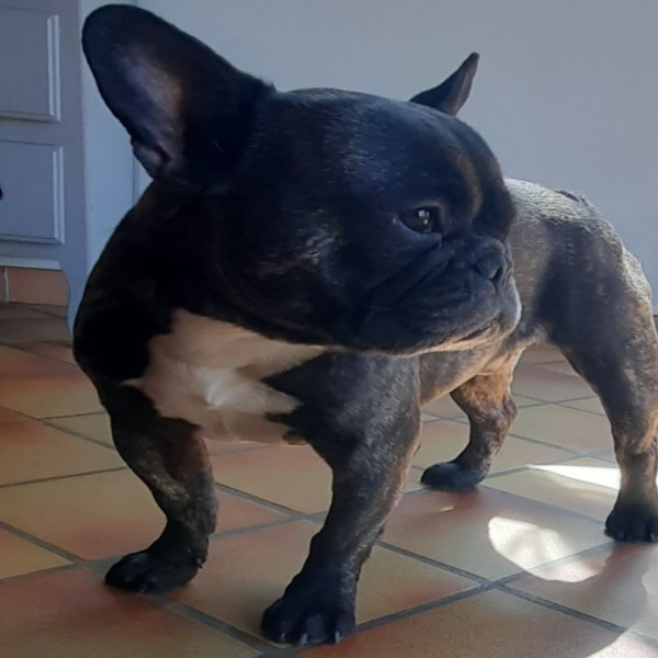 Photo de Owen