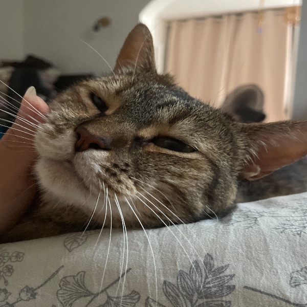 Princesse