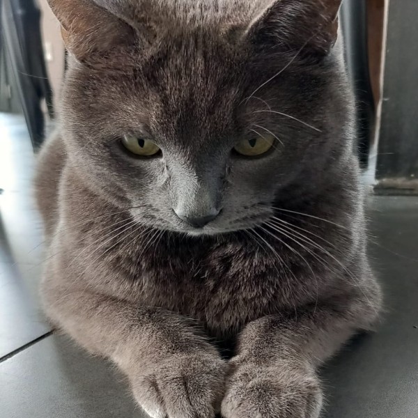 Photo de Roméo dit "chacha"