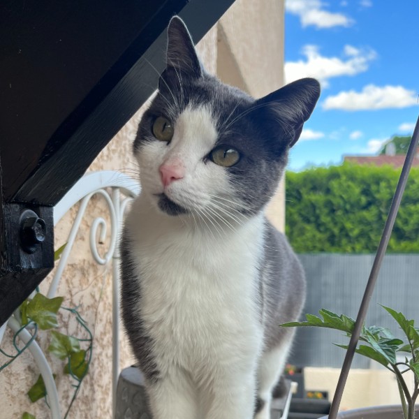 Photo de Polly