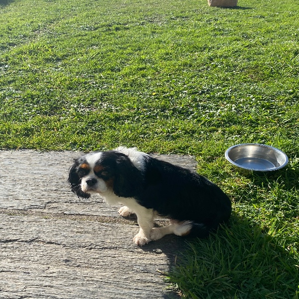 Photo de Yuki