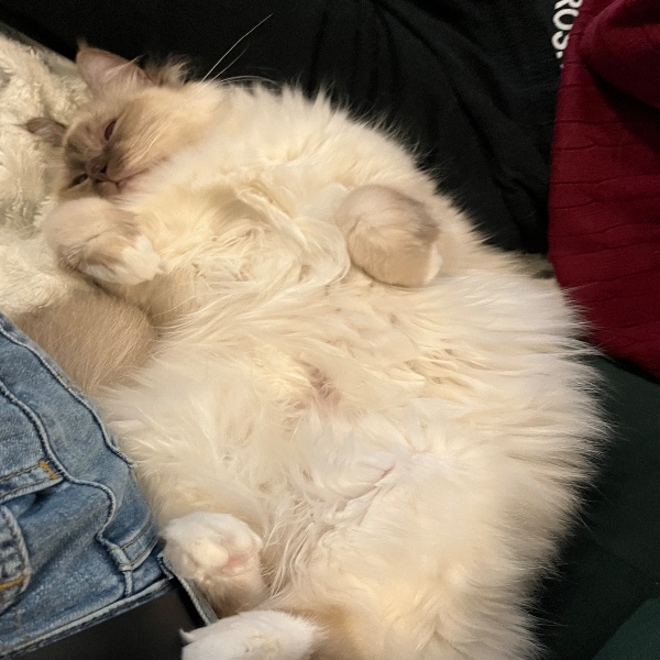 Kira