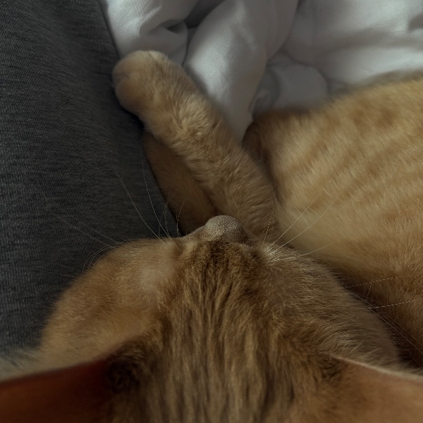 Milo