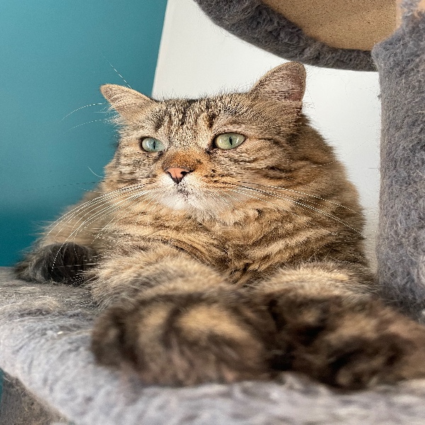 Photo de Titinette (Mimi)