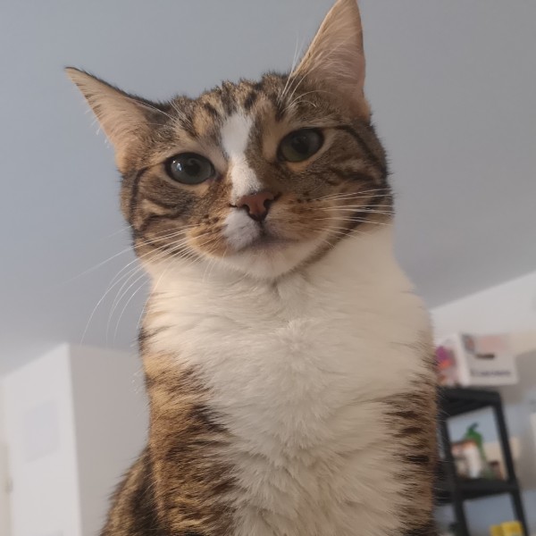 Photo de Sushi