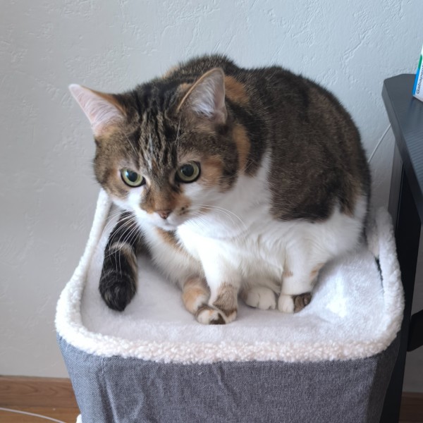 Photo de Poupoune